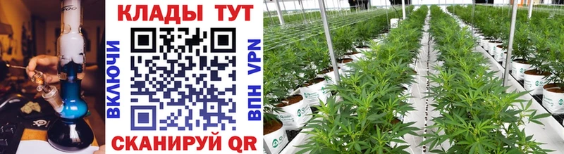 Купить Alpha-PVP  Cocaine  ГАШ  МЕФ  Бошки Шишки  Нижняя Тура