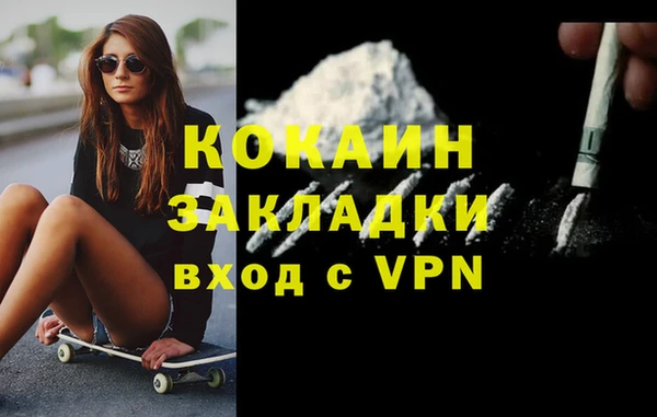 прущие грибы Кукмор