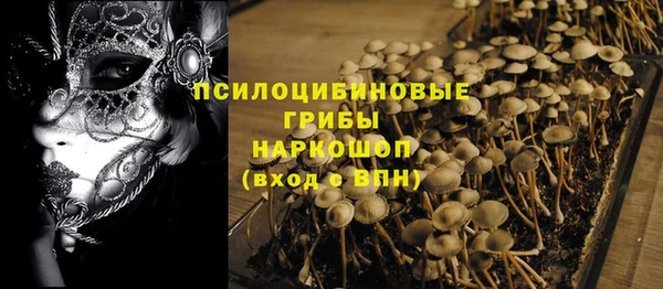 прущие грибы Кукмор