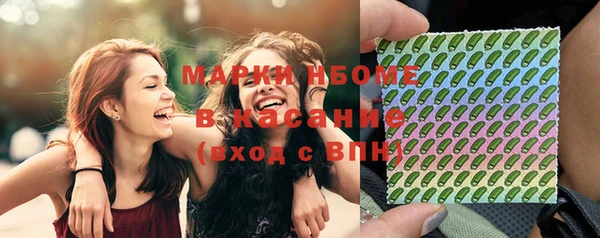 прущие грибы Кукмор