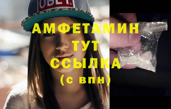 прущие грибы Кукмор