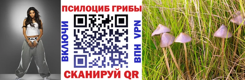 Псилоцибиновые грибы прущие грибы  Купить  Нижняя Тура 